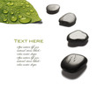 Photo en ligne au meilleur prix spa stones with water drops