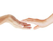 hands
