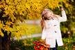 little girl in warm cardigan smiling against the background of f little girl in warm cardigan smiling against the background of f