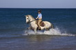 Photo: trab im wasser trab im wasser