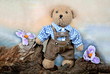 Teddy on tour Teddy on tour