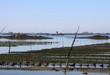 parcs à huîtres en bretagne