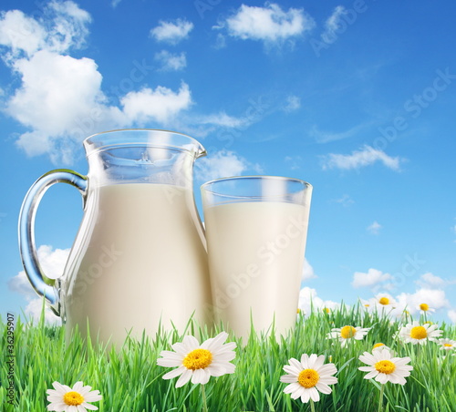 Photo: Milk in a jug and a glass Milk in a jug and a glass