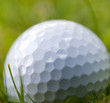 Golfball