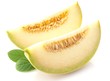 Galia Melonen