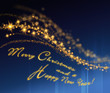 Merry Christmas and a Happy New Year
