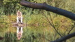 fisherman on the lake in the woods
