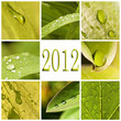 2012, collage eau et nature 2012, collage eau et nature