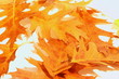Herbstblätter