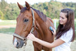 Young woman brushing a beautiful horse. Selective focus.