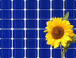 solaranlage und sonnenblume