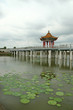artificial lake scene