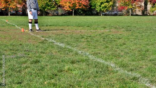 Foto: Umpire on sports field Umpire on sports field