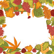 Autumnal leaves frame Autumnal leaves frame