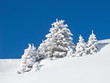 Winter in the alps