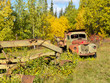 Rusty Truck and Grader forgotten in fall forest