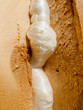 Close-up of Polyurethane Foam filling Gap Close-up of Polyurethane Foam filling Gap