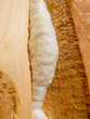Close-up of Polyurethane Foam filling Gap