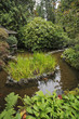 Decorative Japanese garden.