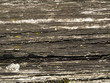 Foto: Textur_Holzoberfläche_Holzmuster Textur_Holzoberfläche_Holzmuster
