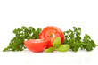 fresh tomatoes fresh tomatoes