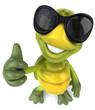 Tortue et lunettes de soleil Tortue et lunettes de soleil