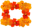 Photo: floral frame floral frame