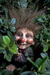 The trolls in Norway