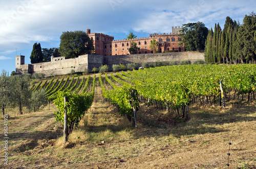 Foto: Toscana, Chianti: vigne e Castello di Brolio Toscana, Chianti: vigne e Castello di Brolio