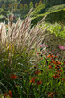 autumnal grass and flower vegetation autumnal grass and flower vegetation