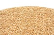 Quinoa