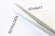 Schuldenschnitt
