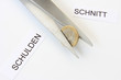 Schuldenschnitt