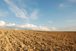 aratura del campo
