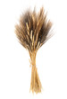 Spighe di grano