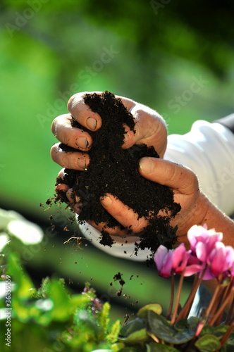 Foto: Blumenerde Blumenerde