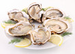 isolated plate of oysters on white