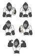 gorilla lab suit collection
