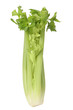 Bunch of stick celery Bunch of stick celery