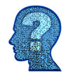 Human brain research