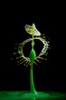 Wassertropfen