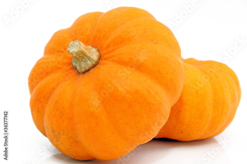 Photo: Citrouilles isolées Citrouilles isolées