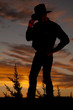 Cowboy silhouette hold hat