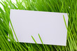 Cut-away to a grass Cut-away to a grass
