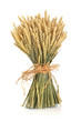 Wheat