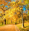 Photo en ligne au meilleur prix beautiful alley in nature