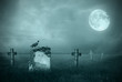 Gravestones in moonlight