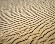 puckered texture of sand beach