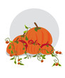 citrouilles et guirlandes citrouilles et guirlandes