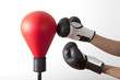 pungiball with two gloves